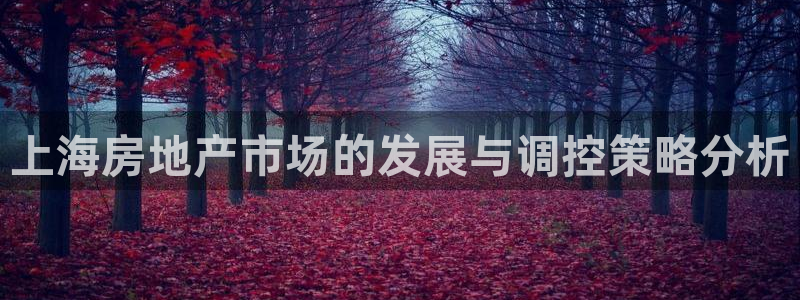 摩登7右7O667：上海房地产市场的发展与调控策略分析