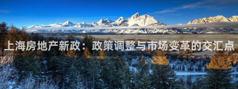 摩登7地址：上海房地产新政：政策调整与市场变革的交汇点