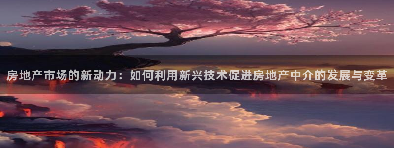 摩登7下：房地产市场的新动力：如何利用新兴技术促进房地产中介
