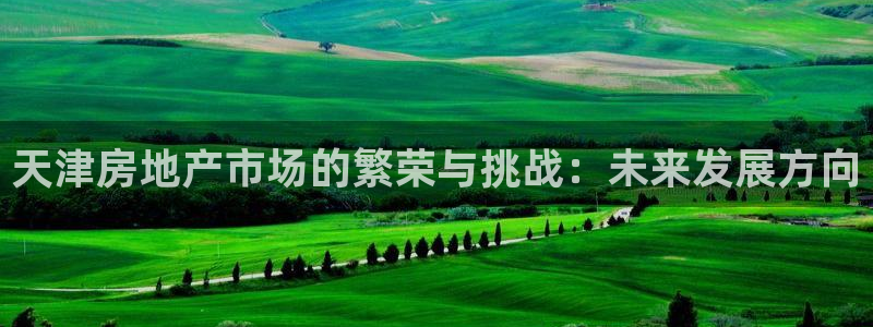 摩登7注册车333OO：天津房地产市场的繁荣与挑战：未来发展