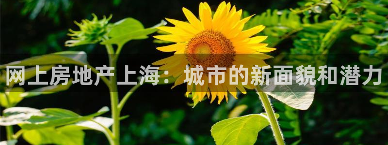 摩登招商尢首选金手指7：网上房地产上海：城市的新面貌和潜力