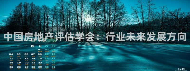 摩登7上7O667：中国房地产评估学会：行业未来发展方向