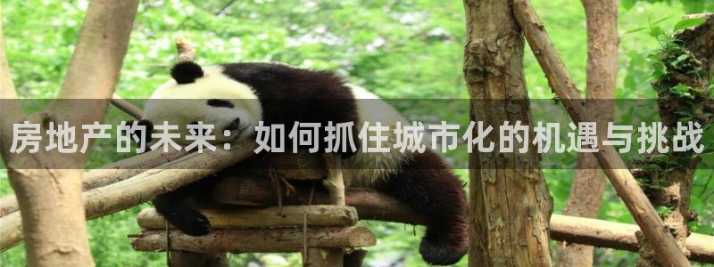 摩登7挂机