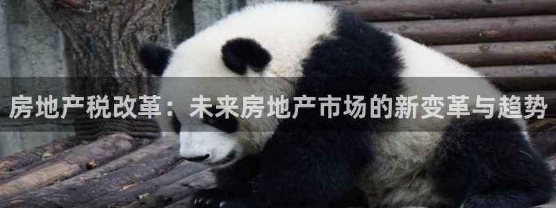 摩登7登录官网：房地产税改革：未来房地产市场的新变革与趋势