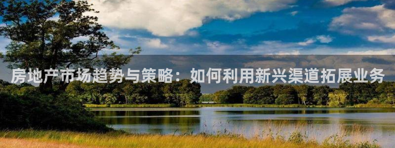 摩登6上7O667：房地产市场趋势与策略：如何利用新兴渠道拓