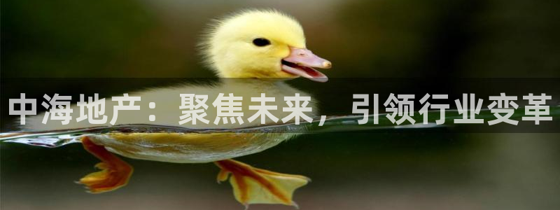 摩登7日7O667：中海地产：聚焦未来，引领行业变革
