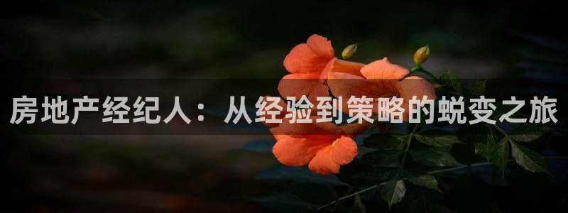 摩登7注册路333OO：房地产经纪人：从经验到策略的蜕变之旅