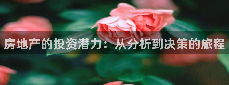 摩登7在线注册加v：房地产的投资潜力：从分析到决策的旅程