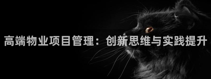 摩登7直属招商：高端物业项目管理：创新思维与实践提升