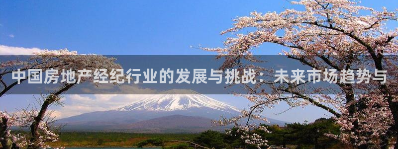 摩登7关：中国房地产经纪行业的发展与挑战：未来市场趋势与