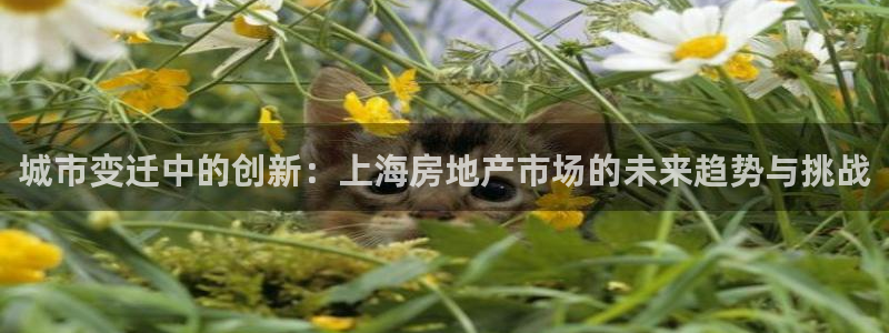 摩登7日7O667：城市变迁中的创新：上海房地产市场的未来趋