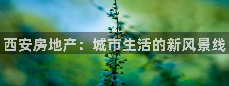 摩登精品7：西安房地产：城市生活的新风景线