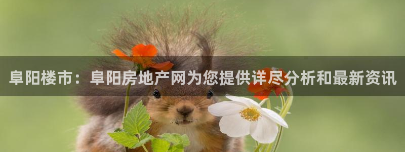 摩登7右3299O7：阜阳楼市：阜阳房地产网为您提供详尽分析