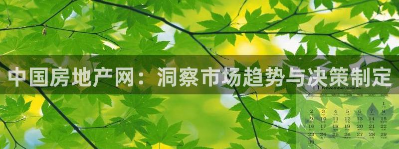 摩登7注册让333OO：中国房地产网：洞察市场趋势与决策制定