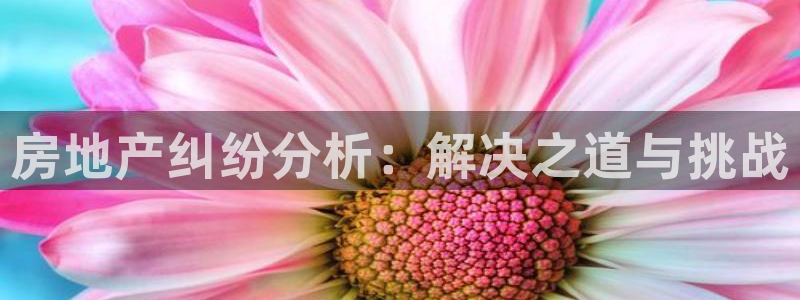 摩登5左7O667：房地产纠纷分析：解决之道与挑战