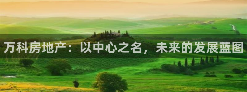 摩登7注册让333OO：万科房地产：以中心之名，未来的发展蓝