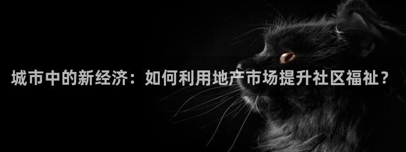 摩登6右7O667：城市中的新经济：如何利用地产市场提升社区