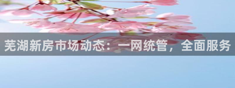 摩登6吕7O667：芜湖新房市场动态：一网统管，全面服务