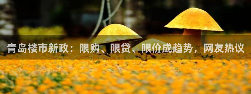 摩登7平台把7O777：青岛楼市新政：限购、限贷、限价成趋势