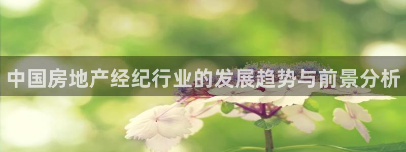 摩登精品7口碑极限：中国房地产经纪行业的发展趋势与前景分析
