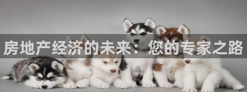 摩登平台除7O777：房地产经济的未来：您的专家之路