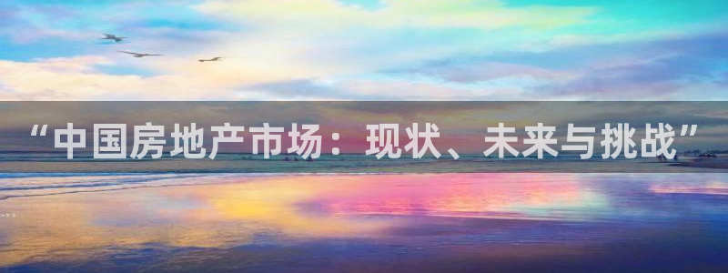 摩登7直属：“中国房地产市场：现状、未来与挑战”