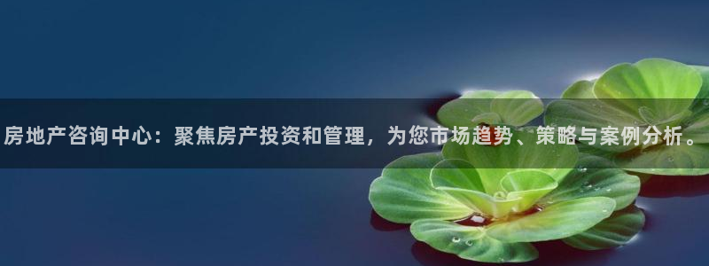 摩登7天7O667：房地产咨询中心：聚焦房产投资和管理，为您