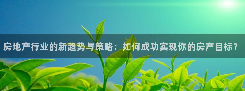 摩登18 7：房地产行业的新趋势与策略：如何成功实现你的房产