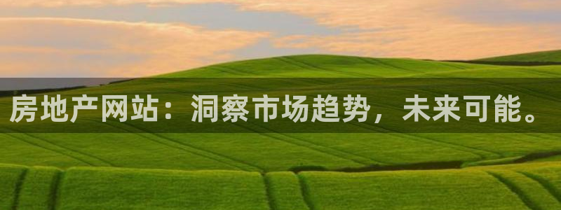 国际版摩登世界7：房地产网站：洞察市场趋势，未来可能。