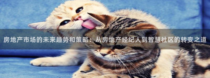 猎杰集团摩登7：房地产市场的未来趋势和策略：从房地产经纪人到
