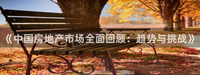 摩登6上7O667：《中国房地产市场全面回顾：趋势与挑战》