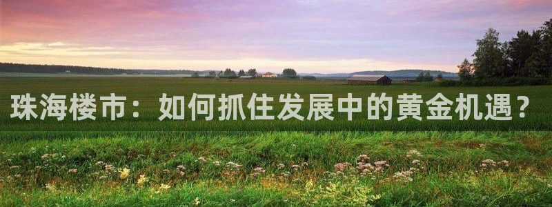 摩登7登录找qv3822233：珠海楼市：如何抓住发展中的黄