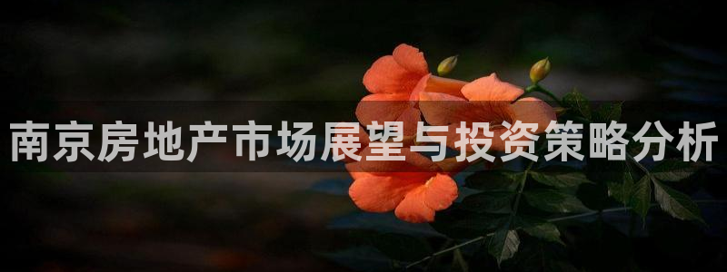 摩登7软件是什么原因：南京房地产市场展望与投资策略分析