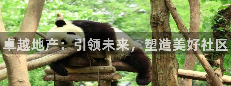 摩登7注册清333OO：卓越地产：引领未来，塑造美好社区