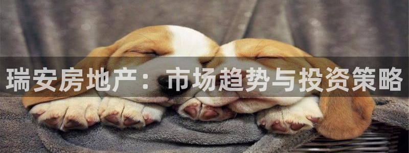 摩登4下7O667：瑞安房地产：市场趋势与投资策略