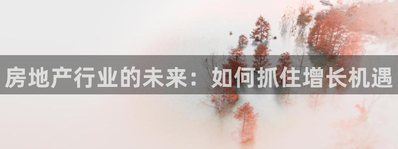 摩登7泽333OO：房地产行业的未来：如何抓住增长机遇