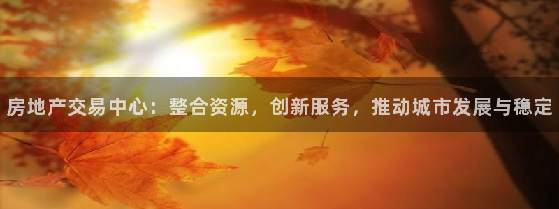 摩登7登录地址：房地产交易中心：整合资源，创新服务，推动城市