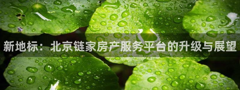 摩登7登录招333OO：新地标：北京链家房产服务平台的升级与