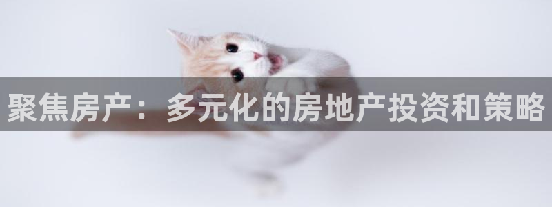 摩登7经3299O7：聚焦房产：多元化的房地产投资和策略