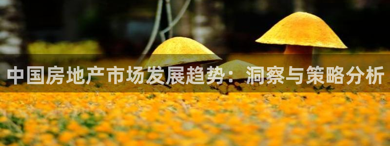 摩登7平台主管：中国房地产市场发展趋势：洞察与策略分析