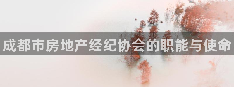 摩登7娱乐平台4：成都市房地产经纪协会的职能与使命