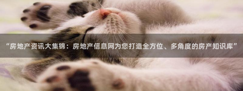 摩登7娱乐注册登录：“房地产资讯大集锦：房地产信息网为您打造