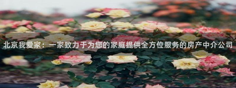摩登7地址