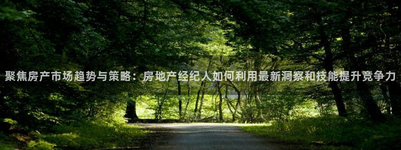 摩登7 1 1：聚焦房产市场趋势与策略：房地产经纪人如何利用