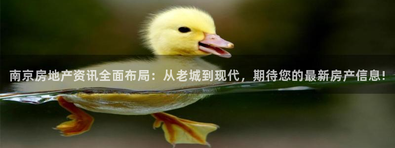 摩登招商7约22650：南京房地产资讯全面布局：从老城到现代