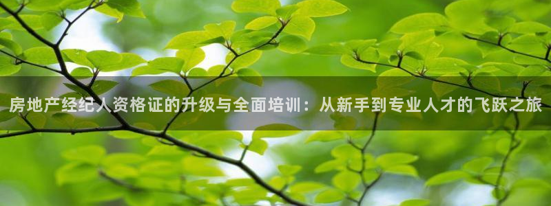 摩登7左7O667