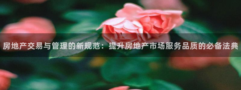 摩登3月7O667：房地产交易与管理的新规范：提升房地产市场