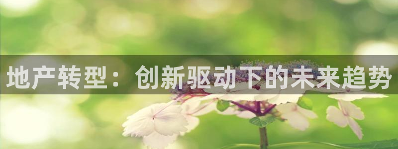 摩登7登陆
