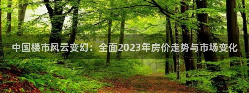 摩登3地7O667：中国楼市风云变幻：全面2023年房价走势
