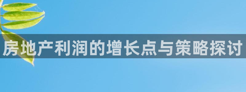 摩登7平台网址下载：房地产利润的增长点与策略探讨